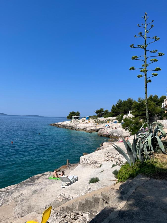 Emil * Trogir